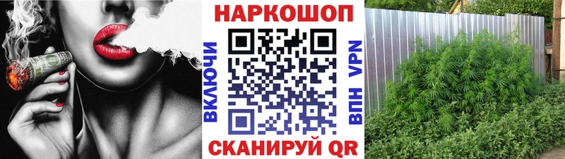 Сколько стоит Бакал МЕГА как войти  A-PVP  МАРИХУАНА  COCAIN  Галлюциногенные грибы 