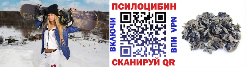 Галлюциногенные грибы GOLDEN TEACHER  Бакал 
